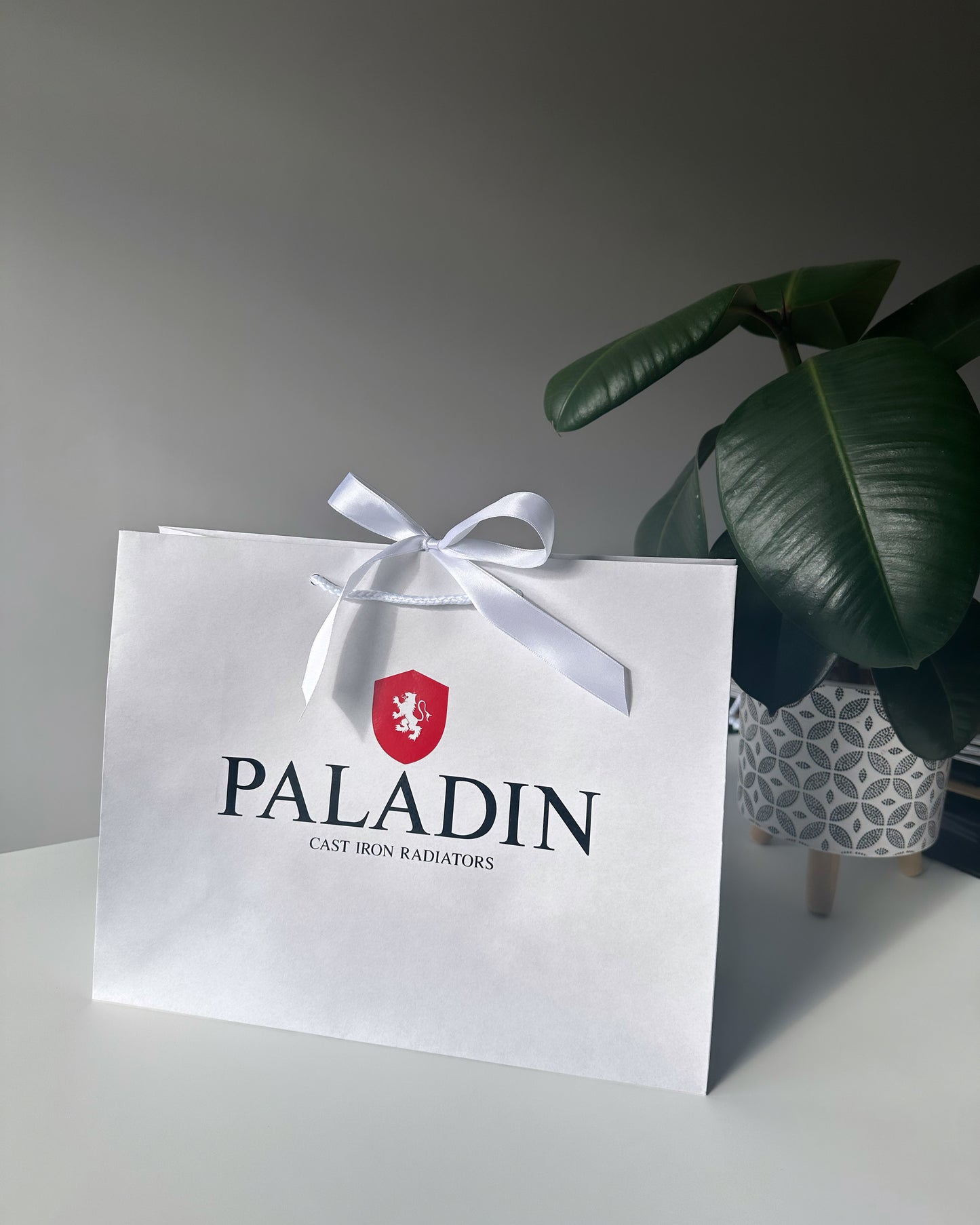 YOUR LOGO - Business Logo Personalised Custom - Ribbon Tie Rope Gift Bags