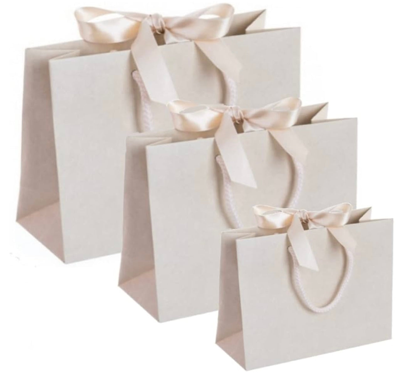 SECONDS/IMPERFECTIONS Ribbon Tie Natural Rope Landscape Recycled Gift Bags - White, Cream, Black & Kraft - Gift Bag Only (no decal)
