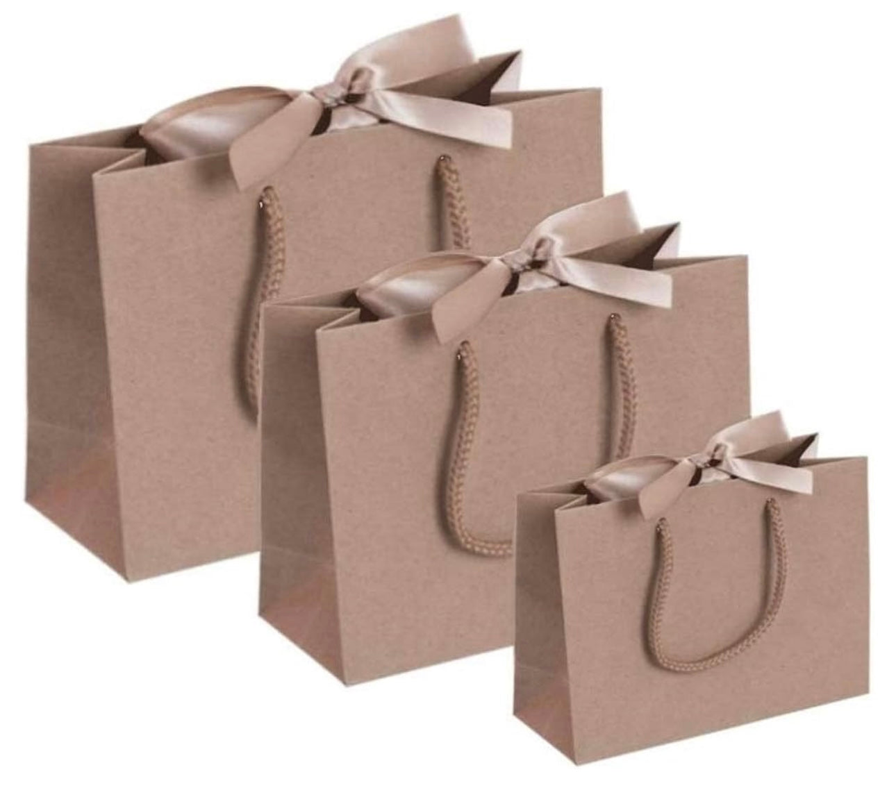 SECONDS/IMPERFECTIONS Ribbon Tie Natural Rope Landscape Recycled Gift Bags - White, Cream, Black & Kraft - Gift Bag Only (no decal)